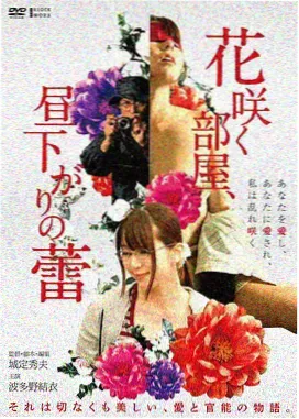 入坑首选 四平青年歪打正着